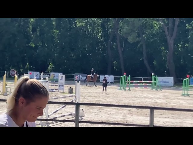 Hongre 9ans - Super coup de saut