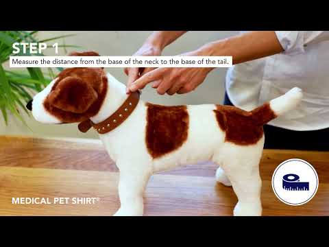 Medical Pet Shirt for Dogs