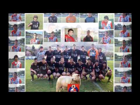 U D LLANERA JUVENIL B   2010 2011