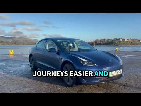 2021 Tesla Model 3 Standard Range Plus – Blue - Image 2