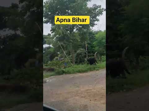 #hindisong #love #bollywood #ashvik #song