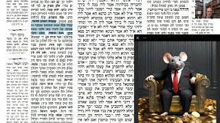 דף יומי מסכת סנהדרין דף כט Daf yomi Masechet Sanhedrin page 29  ע"י יוני גוטמן (שיעורי הדף היומי ב-20 דקות – מועבר ע"י ר' יוני גוטמן – לעילוי נשמת אביו ר' אלימלך צבי (צביקה) גוטמן ז"ל) - התמונה מוצגת ישירות מתוך אתר האינטרנט יוטיוב. זכויות היוצרים בתמונה שייכות ליוצרה. קישור קרדיט למקור התוכן נמצא בתוך דף הסרטון