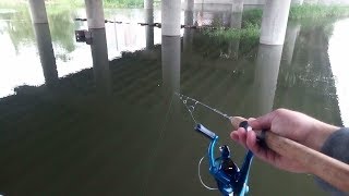 Кировоград рыбалка на гачок