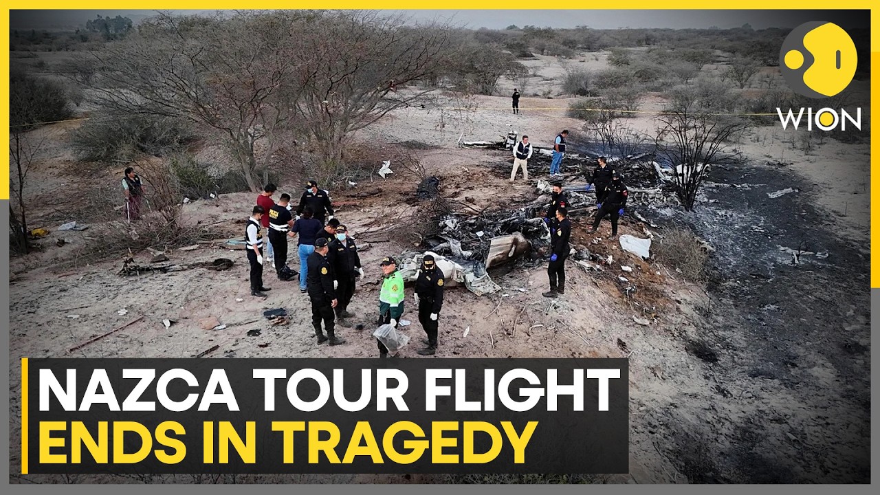 Peru Plane Crash: 11 Foreigners, Two Crews Killed as Plane Bursts into Flames | WION News