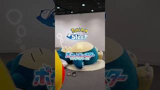 【公式】起きてほしいカビゴン