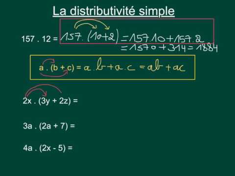 Introduction au calcul litteral (3) Distributivité simple