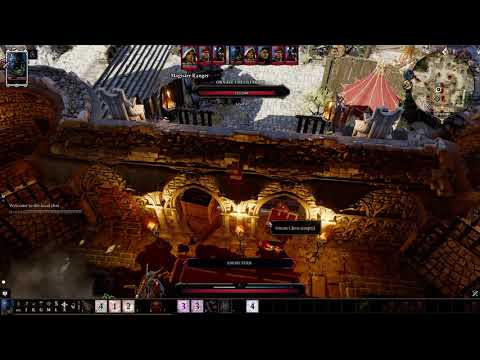Different approach to the game (Divinity Original Sin 2 - Paladin Cork Fight)