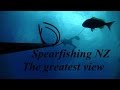 SPEARFISHING NZ - The greatest view 