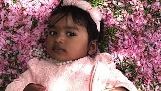 Brooklyn Botanic Garden, Cherry Blossom Festival, Sakura Matsuri, New York City, USA