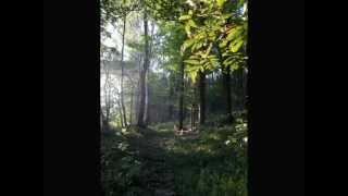 Burzum - "Decrepitude II"