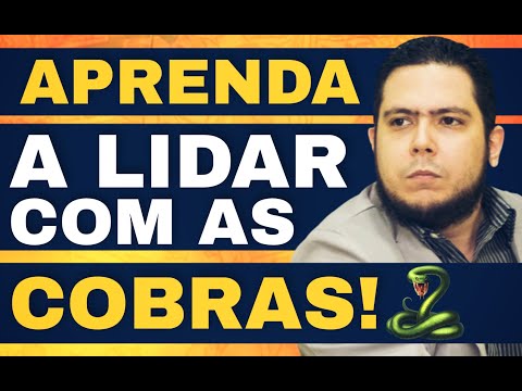 APRENDA A LIDAR COM A COBRA | PR.RODRIGO SANTANNA