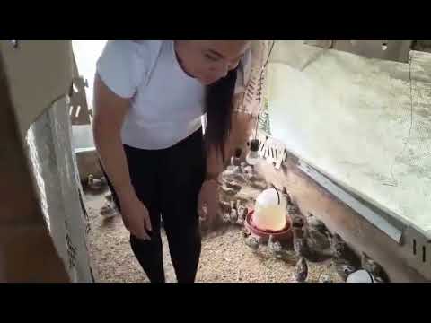 Adriana Pacheco de El Carmen Norte de Santander