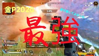 金P2020の強さをアピールしようと思ったら1キルしかしてなかった