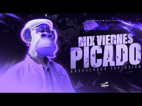🥳 MIX VIERNES PICADO 2025 🔥 LO MAS ESCUCHADO (JODA 2025) | Alee Bravo OK ft. OCTA DJ🔥