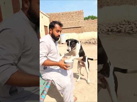 a sent help for allah save him #viralvideo #ytshorts #prayer #youtubealternative #youtubeshorts#ai