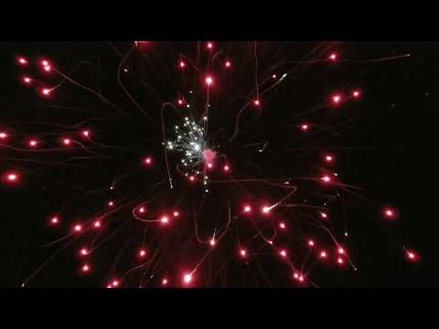 8 Inch Going Up "RED GO GETTERS"