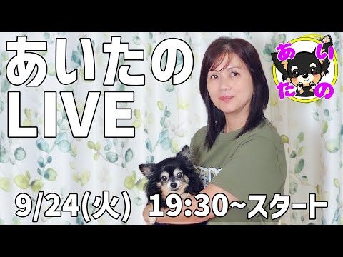 人間に似た15匹の犬 -