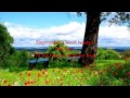 Stick Stock - Emily Portman (Lyrics) 
