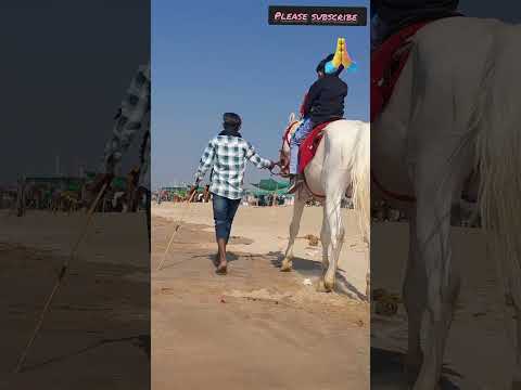 #Samundra #ki #real #Sound #music #travel #Mandvi ❤️❤️🙏🙏