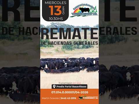 Remate de hacienda Basavilbaso 13-05-2026 | Coop. Ganadera El Pronunciamiento