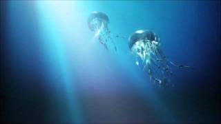 30 seconds to Mars - Night of the Hunter (Flood Remix) cut+edit