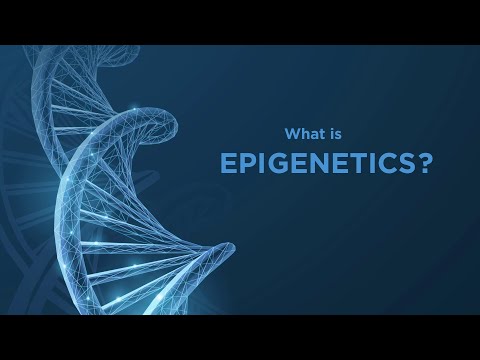Epigenetics Explained