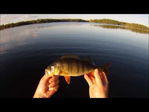 AHVENTA SAVUPÖNTTÖÖN !!!