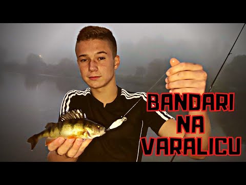 Pecanje BANDARA na Varalicu po maglovitom DANU. Ogromna riba ih ganja !