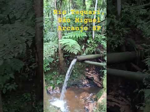 Rio Taquari, no Parque Carlos Botelho, SP