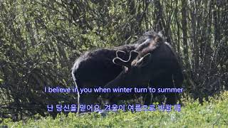 I Believe in You - Anne Murray || with lyrics (영어가사/한글번역)