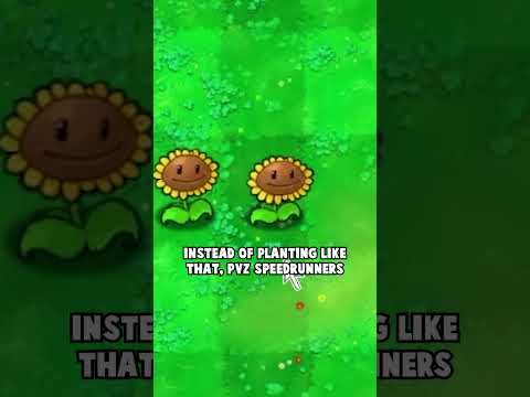 The WEIRD way that PVz Speedrunners Plant Their Sunflowers