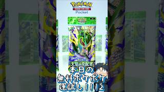 本日の無料ポケポケ運試し《1112》 #shorts #ポケポケ #ポケポケ開封チャレンジ