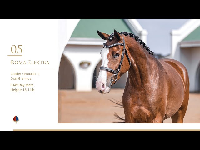 Callaho Roma Electra