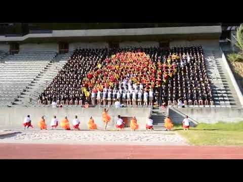 download lagu mp3 mp4 Rugby Supporters, download lagu Rugby Supporters gratis, unduh video klip Rugby Supporters