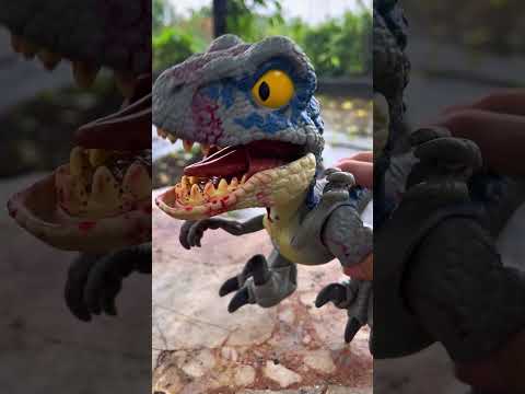 Jurassic World MEGA Roar ''Blue Velociraptor'' Dinosaur Toy 3000$ #dinosaur #shorts #jurassicworld