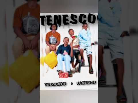 Wansho_04_feat_Mozkidd_TENESCO_-_ Official áudio__2025__