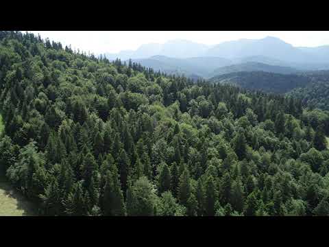 In curand Apartamente de vacanta Predeal langa partia Clabucet.Un proiect KXL ARHITECTURE.