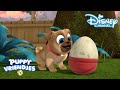 Puppy Vriendjes | Op Ei-tastische Missie ? | Disney Channel NL