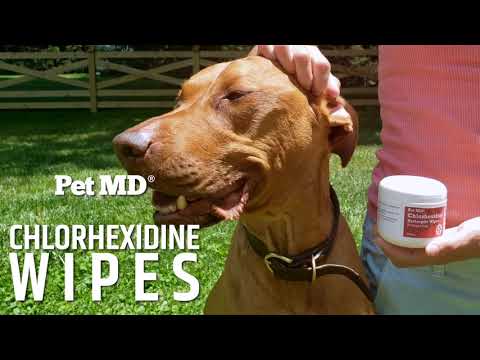 Pet MD Chlorhexidine Wipes