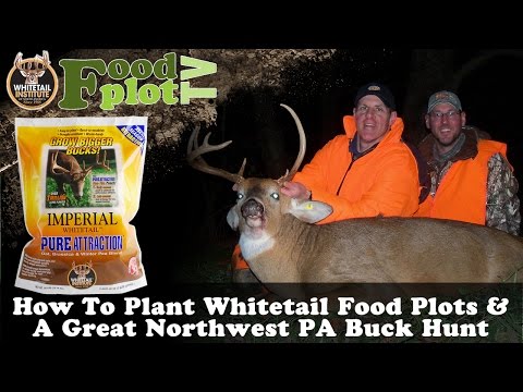 How To Plant Whitetail Food Plots and Great Northwest PA Buck Hunt