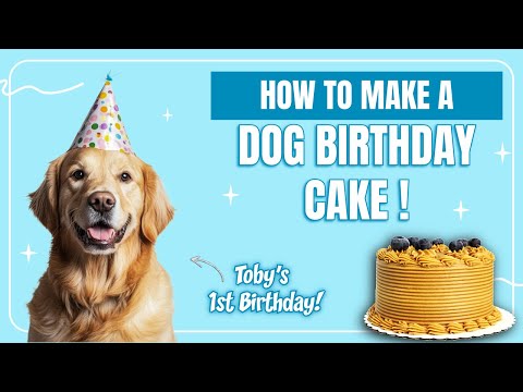 DOG FRIENDLY CAKE RECIPE 🐶 | TOBY'S 1ST BIRTHDAY! 🎂 - Felipe's Creations