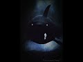 Imagine Dragons Sharks Slowed