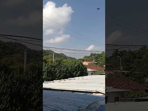 saliendo temprano para Norosi sur de Bolívar #seguidores #viral  #viralvideo #videoviral #humor