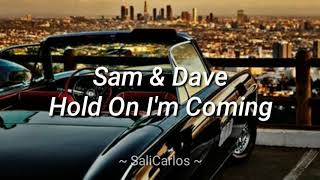 Sam &amp; Dave - Hold On I&#39;m Coming (Sub Español)