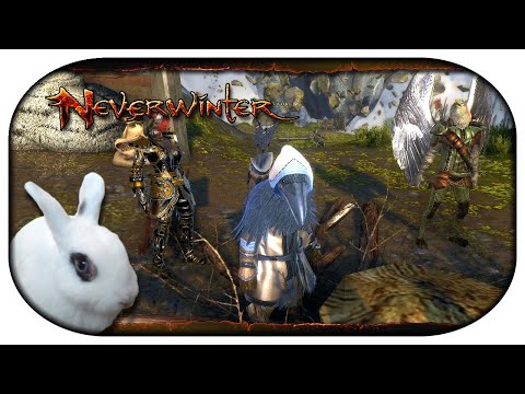 NEVERWINTER: Paladin-LP 🐇 106 - Diebische Kenuks und die Zwilligsbriese