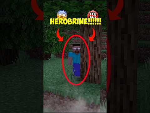 Insane Herobrine Encounter