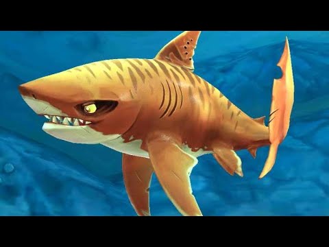🎮 846K Points with Tiger Shark | Hungry Shark World