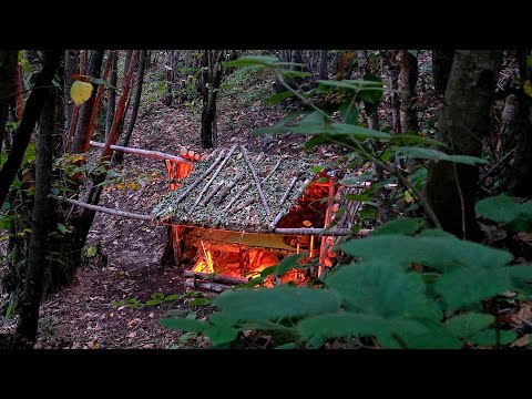 Primitive 3-Day Survival with My Dog | Built a Forest Shelter and Lived Off Nature