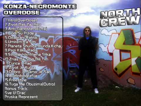 Konza negroMonte - Pruska Reprezent