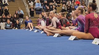 Waunakee/DeForest duo share podium in WIAA Division 1 all-around competition